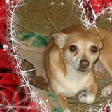 Татьяна Недосека, 19.09, Москва