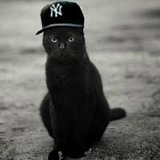 Арсений Арсеньев, 24.05, Минск