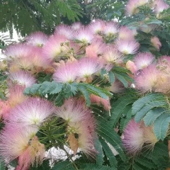 Виктория Макарова, 17.07