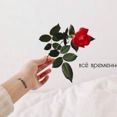 Арай Окей, Алматы