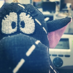 Юля Дымкина, Луганск