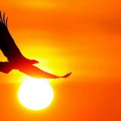 Елена Шаг, 19.01, Москва