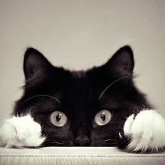 Сергей Богданов, 20.04.1986, Санкт-Петербург