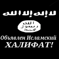 Мухаммад Саляфии, Грозный