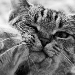 Айнура Джумаева, 18.07, Алматы