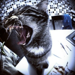 Руслан Ишанкулов, 30.05, Алматы