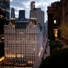 Давид Золотов, 27.08, New York City
