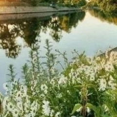 Регина Гулюмова, Уфа