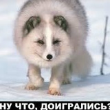 Nurbek Baidilda, 11.06.2000, Шымкент
