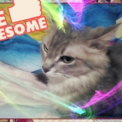 Полина Калугина, 14.04, Уфа