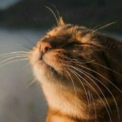 Ольга Матвеева, 25.08.1985, Астрахань