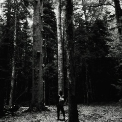Melodramatic Attitudinizing, 07.09