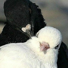 Ainerim Sa, Астана