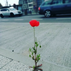 Татьяна Мироненко, 09.01, Gdańsk