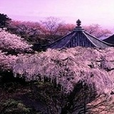 Марина Овсянникова, 13.02, Москва