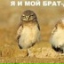 Дмытро Димоняка, 13.01.1987, Харьков