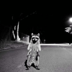 Валентин Спильный, 03.06.1987, Москва