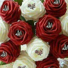 Камила Гаппарова, 08.09