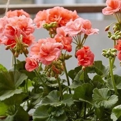 Юлия Жиганова, 25.07, Вологда