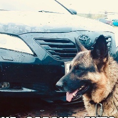 Михаил Автов, 09.05.1979, Котлас