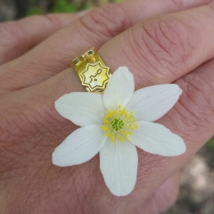 Гульнара Нуруллина, 27.04, Санкт-Петербург