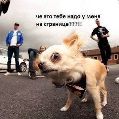 Ержан Сатыбалдиев, 22.02, Шымкент