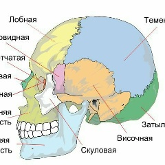 Шамиль Самигулин, 05.01.1990, Москва