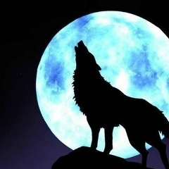 Антон Блинов, 04.01, Нижневартовск