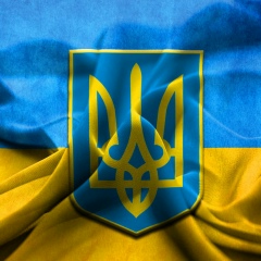 Міша Сало