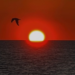 Оксана Оксана, Москва