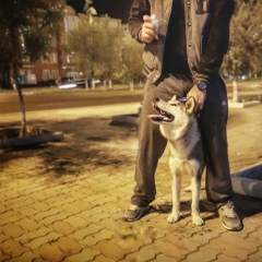 Ибрахим Ахметжан, 01.04.1996, Павлодар