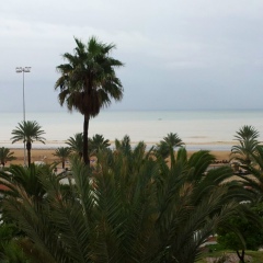 Alexey Nazarov, 29.03.1980, Санкт-Петербург