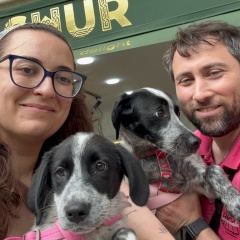 Сабина Алиева, Баку