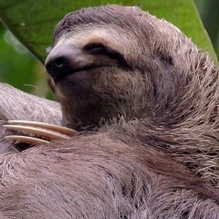 Тёмыч Ионов, 11.08.1989, Санкт-Петербург