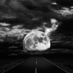 Zona Morta, 12.07.1976