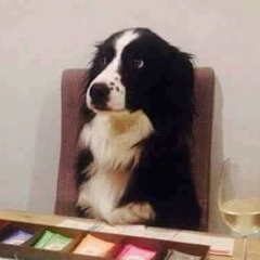 Luis Gustavo, 14.03.1994, Goiânia