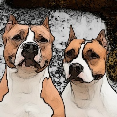 Максим Молчанов, Брянск