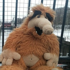 Яуг Лап, 01.08, Гомель