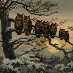 Рия Локи, 28.12.1988, Новокузнецк