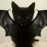 Виктория Мазур, 15.03.1985, Киев