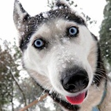 Петя Иванов, 16.04