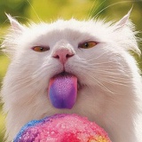 Илья Кашин, 06.09, Казань