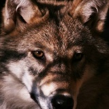 Ренат Мухетдинов, 29.04, Москва