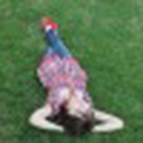 Светлана Толмасова, 31.12.1988, Москва