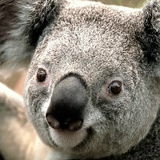 Вадим Кузнецов, Мытищи