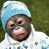 Андрей Самарский, 16.11.1985, Москва