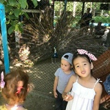 Akmaral Baizuldinova, 12.01