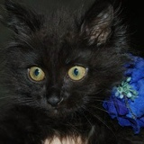 Наталья Широких, 08.07, Москва