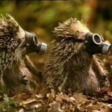 Артём Малашин, 08.05.1980, Чехов