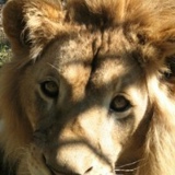 Алексей Алексеев, 03.11.1982, Минск